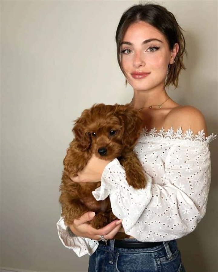 Alana Arbucci - Net Worth, Age, Height, Birthday, Bio, Wiki!