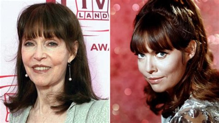 Barbara Feldon Net Worth, Age, Height, Bio, Birthday, Wiki!
