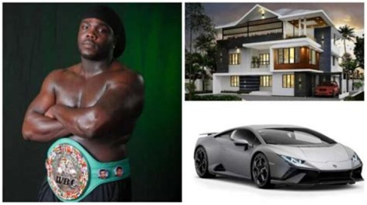 Bermane Stiverne Net Worth, Age, Height, Bio, Birthday, Wiki!