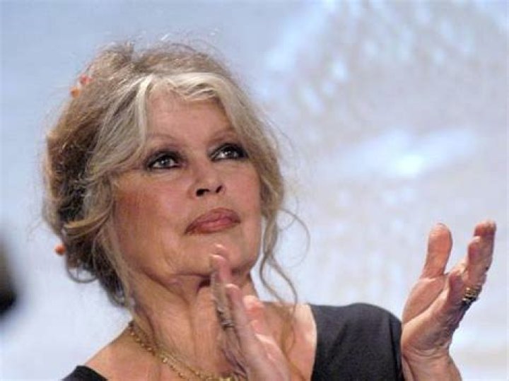 Brigitte Bardot Net Worth 2024, Age, Height, Bio, Birthday, Wiki!