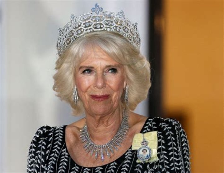 Camilla Power - Net Worth, Age, Height, Birthday, Bio, Wiki!