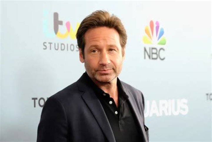 David Duchovny Net Worth, Age, Height, Bio, Birthday, Wiki!
