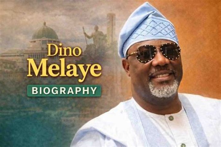 Dino Melaye Net Worth, Age, Height, Bio, Birthday, Wiki!