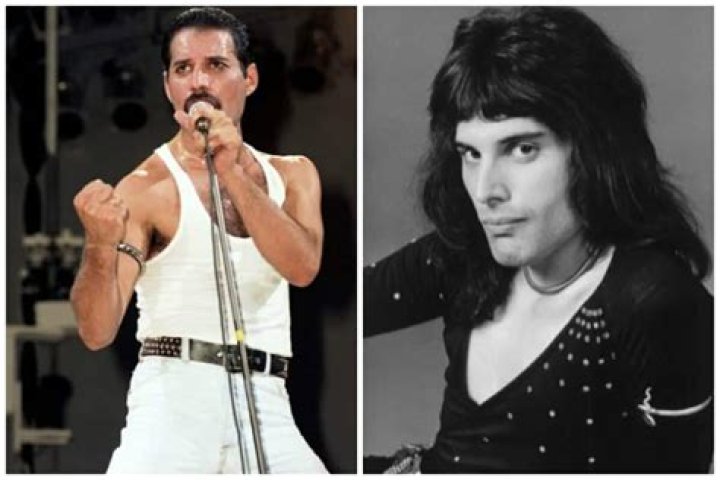 Freddie Martino - Net Worth, Age, Height, Birthday, Bio, Wiki!