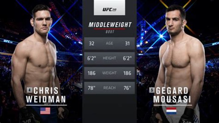 Gegard Mousasi Net Worth, Age, Height, Bio, Birthday, Wiki!