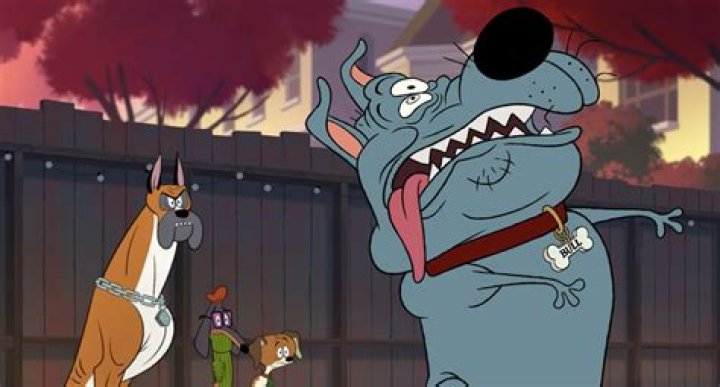 Genndy Tartakovsky Net Worth 2024, Age, Height, Bio, Birthday, Wiki!