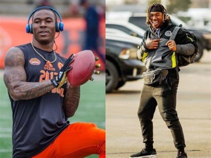 Jamaal Williams Net Worth 2024, Age, Height, Bio, Birthday, Wiki!