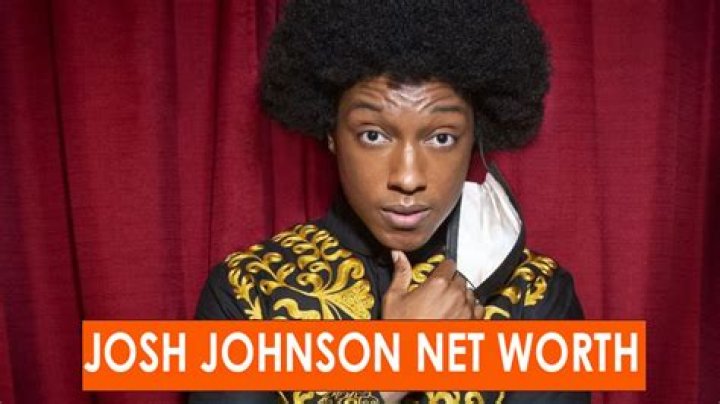 Josh Johnson Net Worth, Age, Height, Bio, Birthday, Wiki!