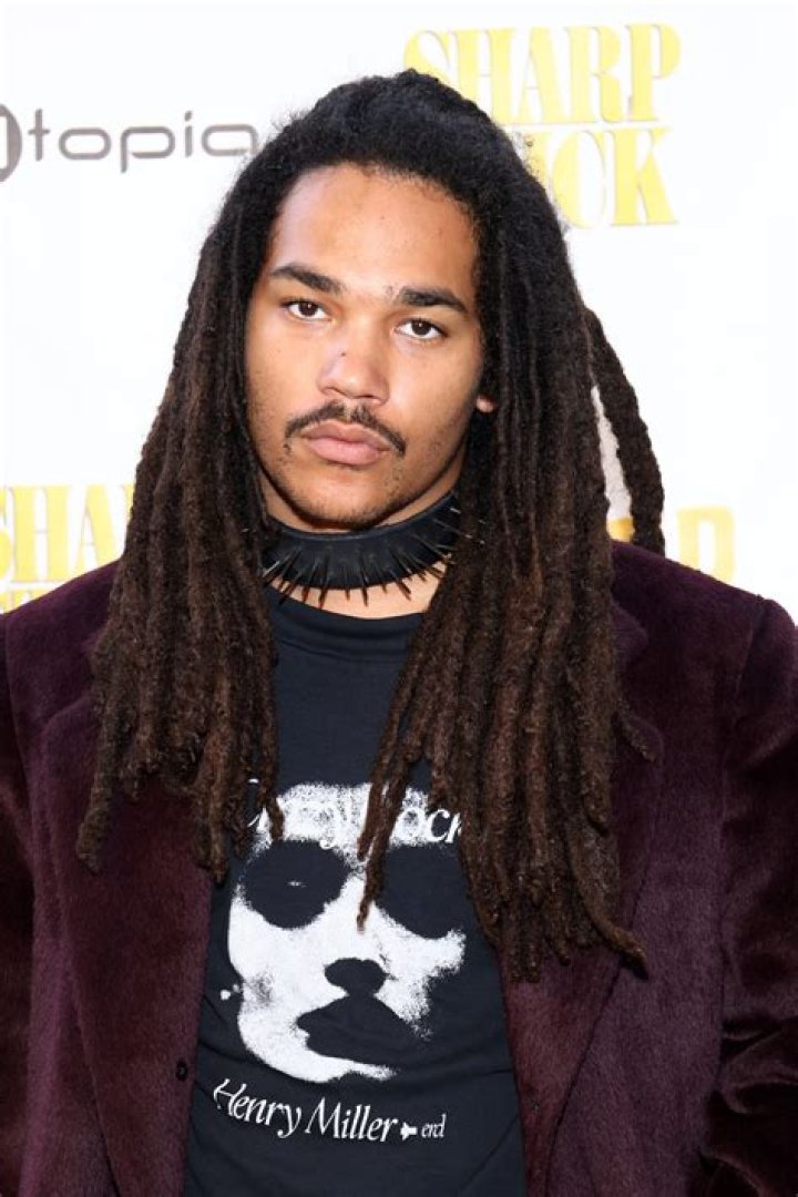 Luka Sabbat Net Worth 2024, Age, Height, Bio, Birthday, Wiki!