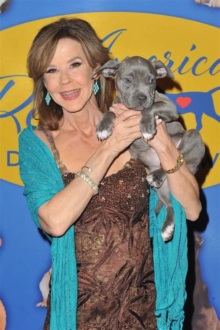 Mary Blair - Net Worth, Age, Height, Birthday, Bio, Wiki!