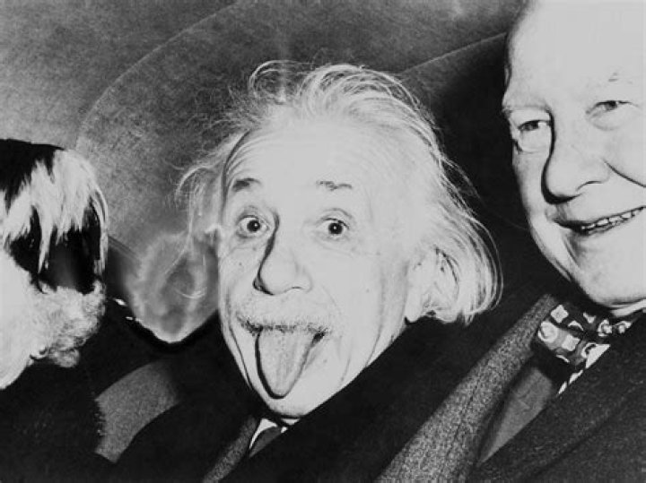 Napoleon Einstein - Net Worth, Age, Height, Birthday, Bio, Wiki!