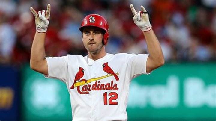 Paul DeJong Net Worth, Age, Height, Bio, Birthday, Wiki!