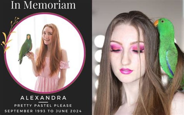 Pretty Pastel Please Net Worth, Age, Height, Bio, Birthday, Wiki!