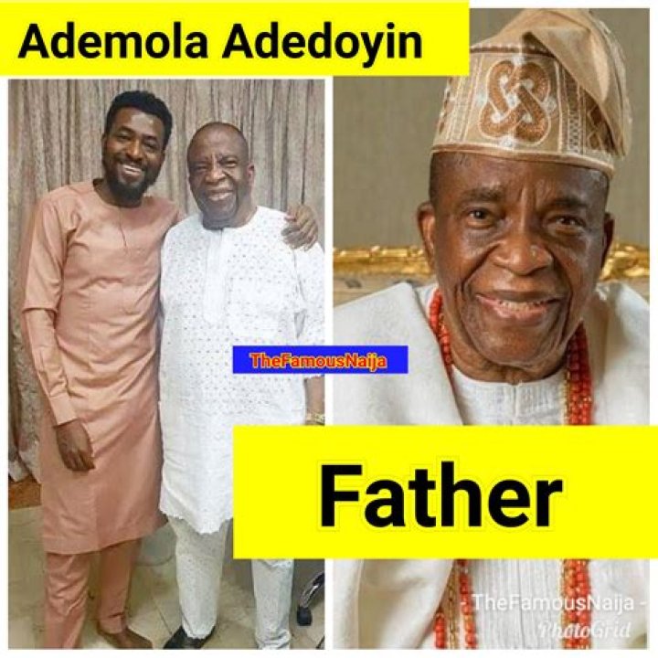 Rahmon Adedoyin - Net Worth, Age, Height, Birthday, Bio, Wiki!