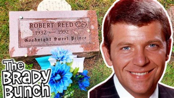 Robert Reed Net Worth 2024, Age, Height, Bio, Birthday, Wiki!