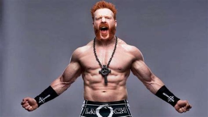 Sheamus Net Worth 2024, Age, Height, Bio, Birthday, Wiki!