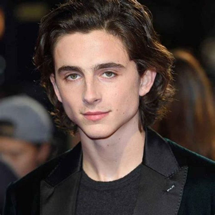 Timothée Chalamet Net Worth, Age, Height, Bio, Birthday, Wiki!