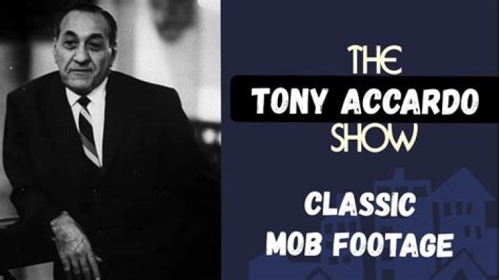 Tony Accardo Net Worth, Age, Height, Bio, Birthday, Wiki!