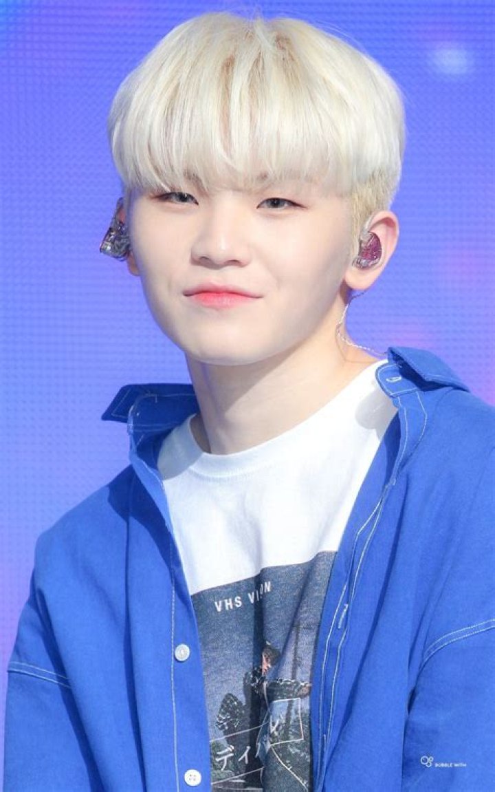WOOZI Net Worth, Age, Height, Bio, Birthday, Wiki!