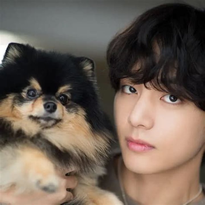 Yeontan Net Worth, Age, Height, Bio, Birthday, Wiki!