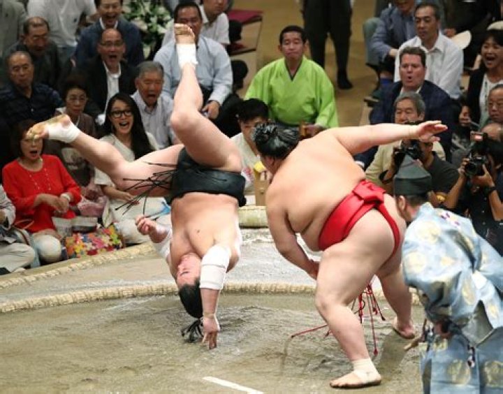 Yokozuna Net Worth 2024, Age, Height, Bio, Birthday, Wiki!